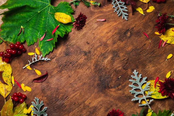 Podzimní Listí Dřevěné Desce — Stock fotografie