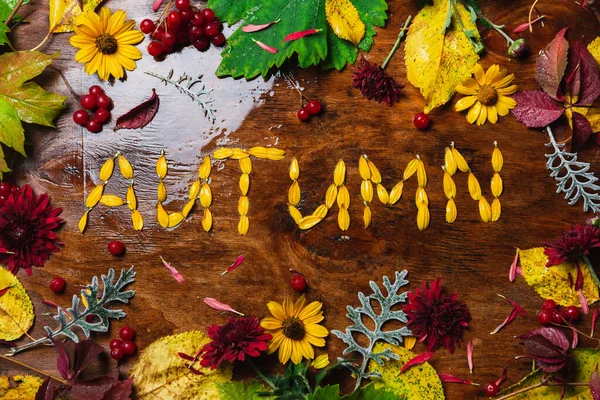 Wort Herbst Aus Herbstblättern Auf Holzgrund — Stockfoto