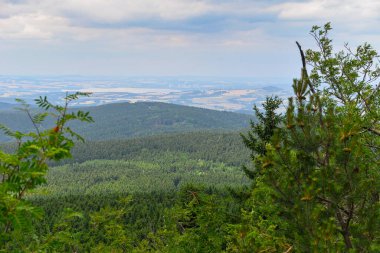Yazın dağ manzarası