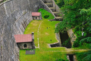 Ormanda yeşil çimenli güzel bir baraj.