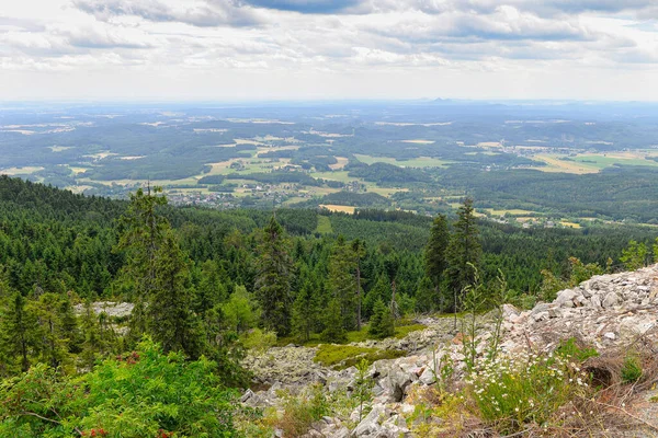 Yazın dağ manzarası