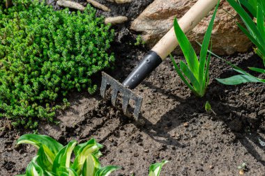 Bahçe tırmığı ve bahar bahçesi