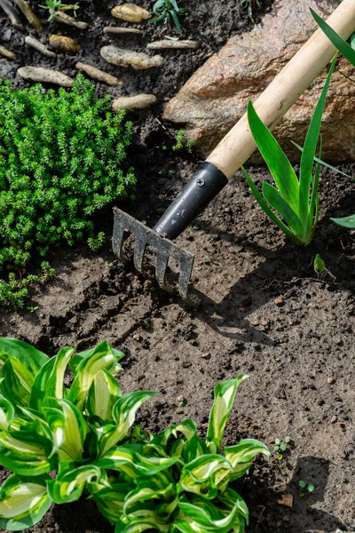 Tuin Hark Lentetuin — Stockfoto