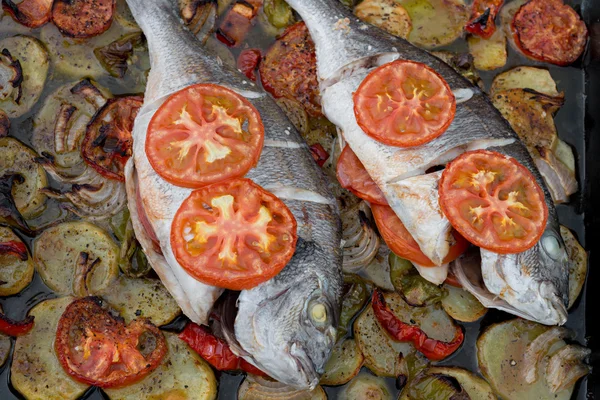 Pişmiş yaldızlı kafalı çipura