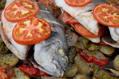 Pişmiş yaldızlı kafalı çipura