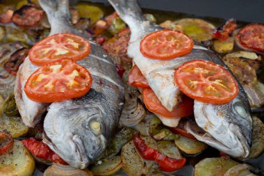 Pişmiş yaldızlı kafalı çipura