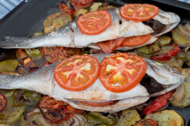 Pişmiş yaldızlı kafalı çipura