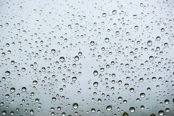 Detalhe de gotas de chuva — Fotografia de Stock
