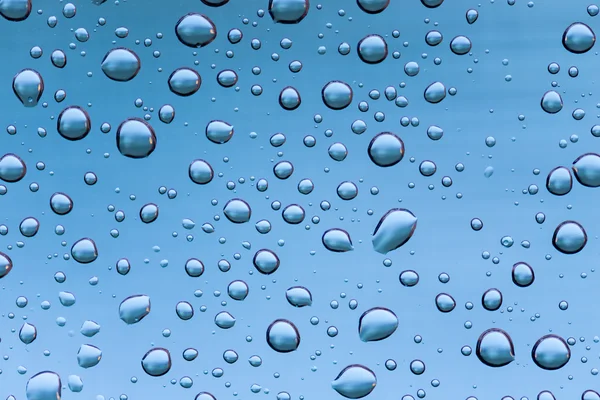 Detalhe de gotas de chuva — Fotografia de Stock