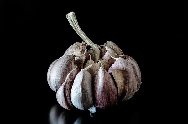 Garlic with black background — Stock Photo, Image