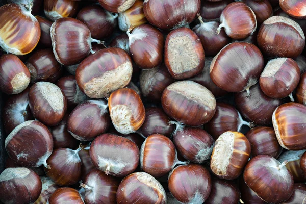 Autumn chestnuts detail — Stock Photo, Image
