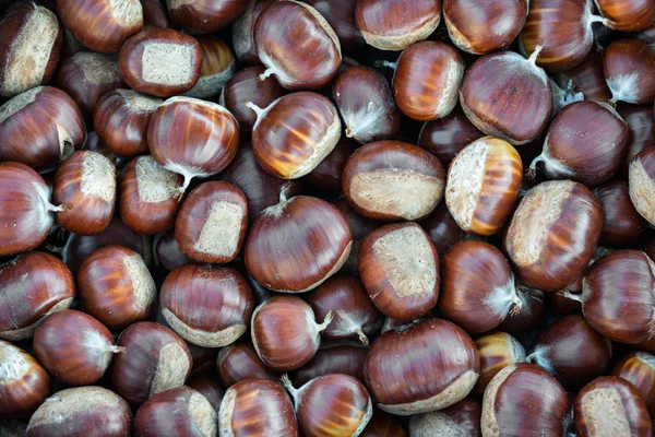 Dettaglio castagne d'autunno — Foto Stock