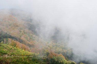 Dağlarda sis.