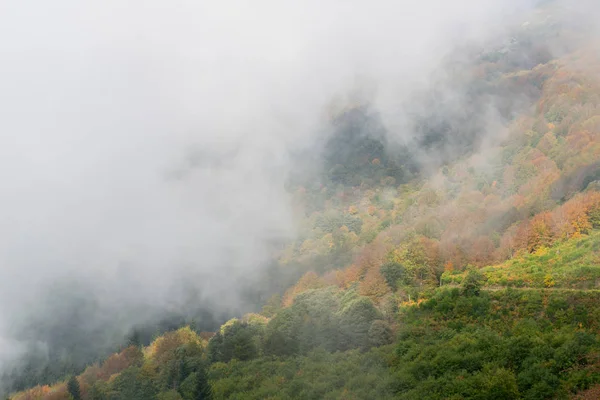 Brouillard dans les montagnes — Photo