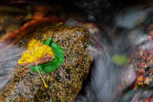 Parte in un fiume — Foto Stock