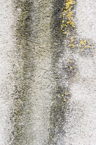 Wall with humidity — Stock Photo, Image