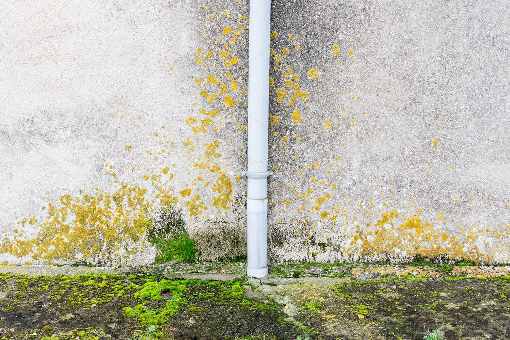 Wall with humidity