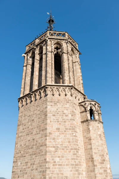 Details of the Cathedral of Barcelona — Stock Photo, Image