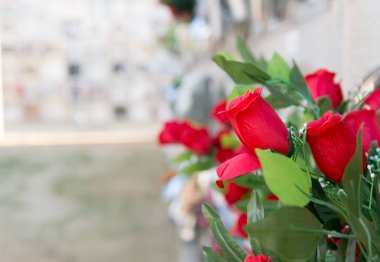 Mezarlıkta çiçekler.