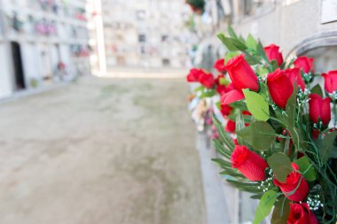 Mezarlıkta çiçekler.