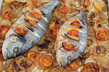 Pişmiş Sparus aurata 