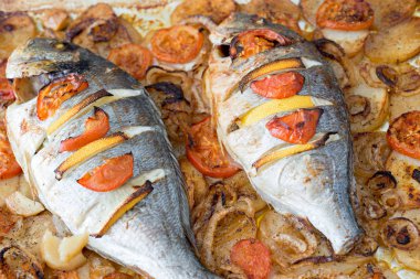 Pişmiş Sparus aurata 