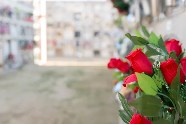 Flores en un cementerio — Foto de Stock