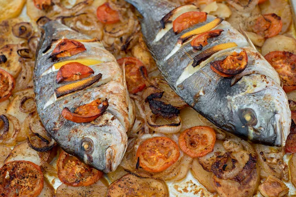 Pişmiş Sparus aurata 