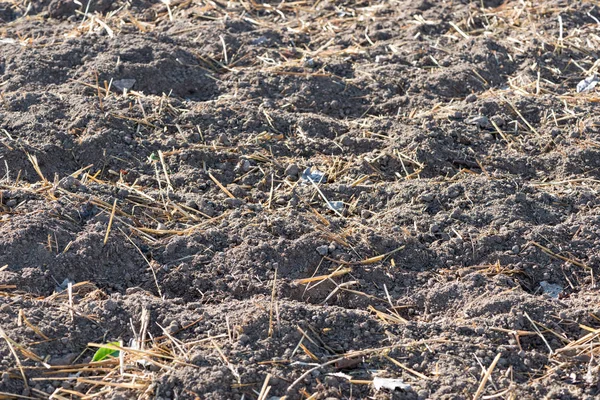 Terreno con fertilizante — Foto de Stock