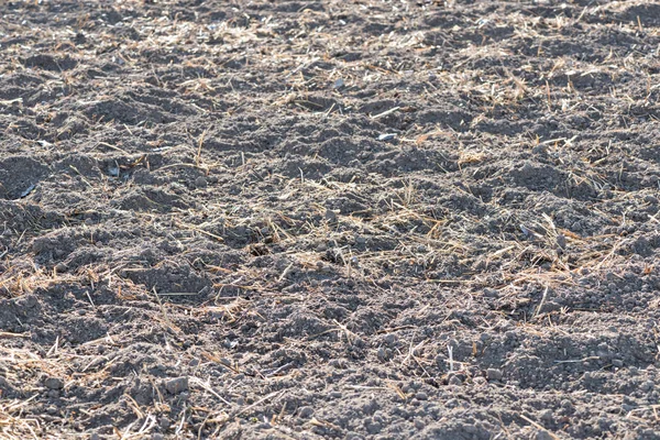 Terreno com fertilizante — Fotografia de Stock