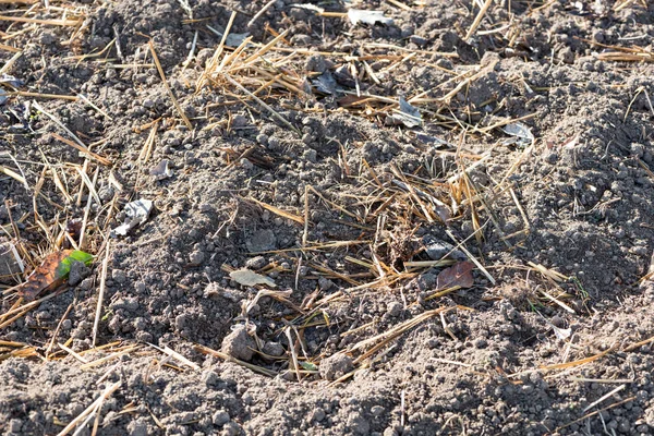 Terreno com fertilizante — Fotografia de Stock