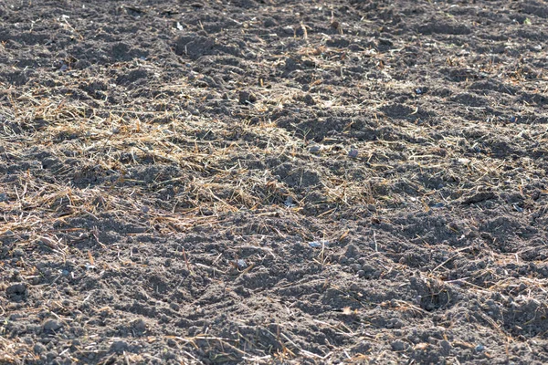 Land with fertilizer — Stock Photo, Image