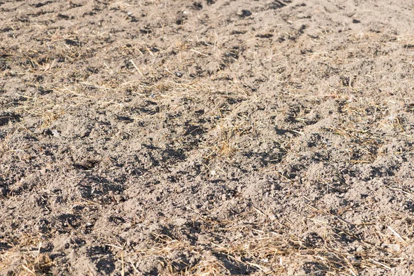 Terreno com fertilizante — Fotografia de Stock