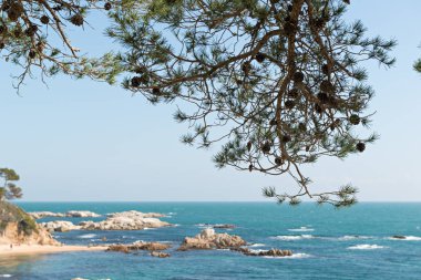 Sahil cesur (Costa Brava) - Girona (İspanya)