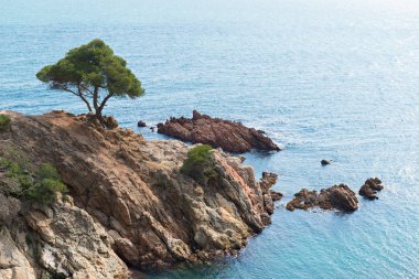 Sahil cesur (Costa Brava) - Girona (İspanya)