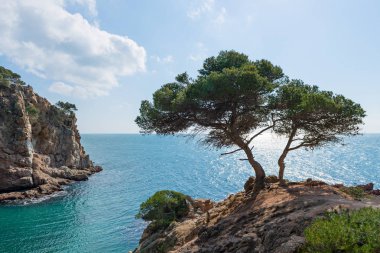 Sahil cesur (Costa Brava) - Girona (İspanya)