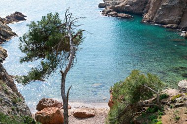 Sahil cesur (Costa Brava) - Girona (İspanya)