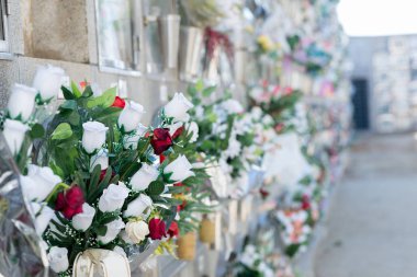 Mezarlıkta çiçekler.