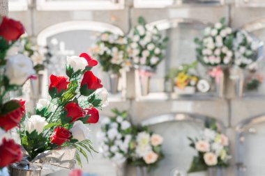 Mezarlıkta çiçekler.