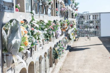 Mezarlıkta çiçekler.