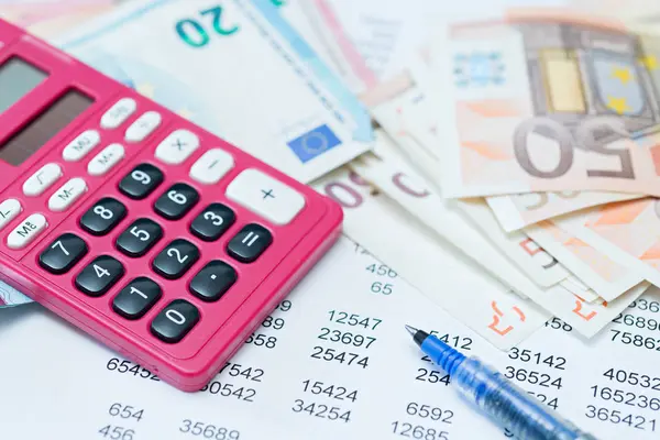 Detaylı finansal çalışma