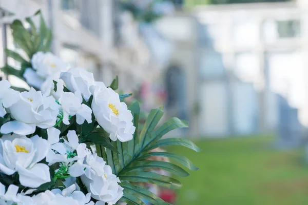 Flowers in a cemetery — Stock Photo, Image