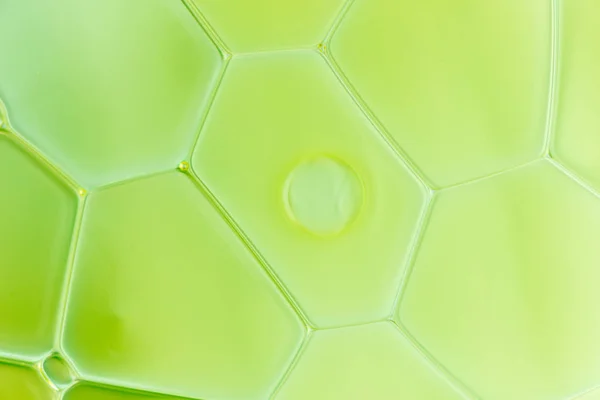 Detalhe gotas de água coloridas — Fotografia de Stock