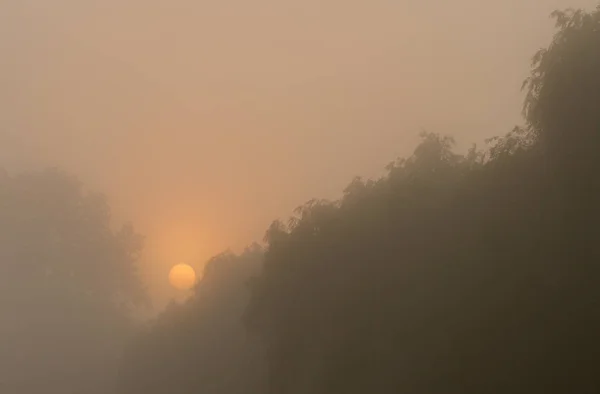 Lake with fog — Stock Photo, Image