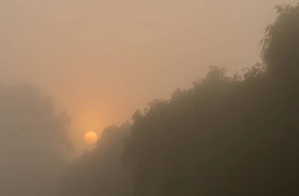 Lago con nebbia — Foto Stock