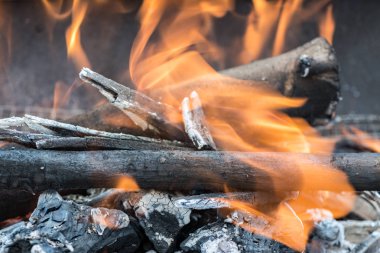 Yanan odun parçaları