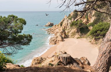 Sahil cesur (Costa Brava) - Girona (İspanya)
