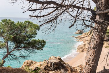 Sahil cesur (Costa Brava) - Girona (İspanya)