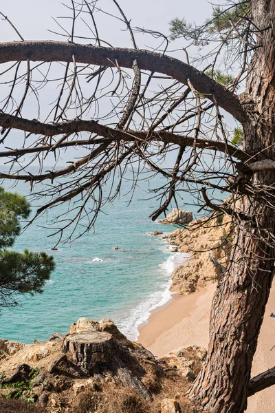 Odważny wybrzeża (Costa Brava) - Girona (Hiszpania) — Zdjęcie stockowe
