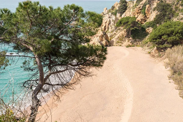 Coast Brave (Costa Brava) - Girona (Spain) — Stock Photo, Image